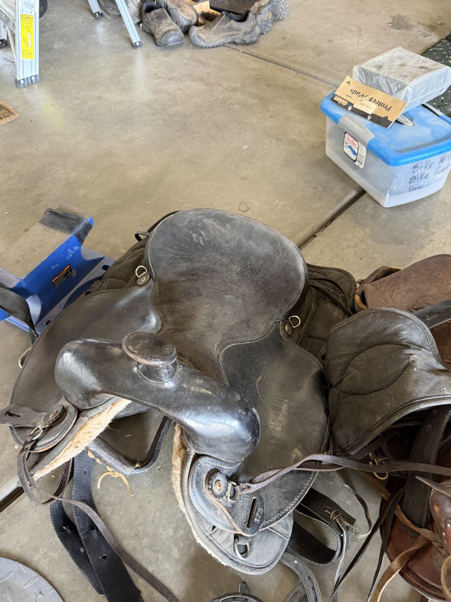 Misc horse, packing, saddles, and hunting equip