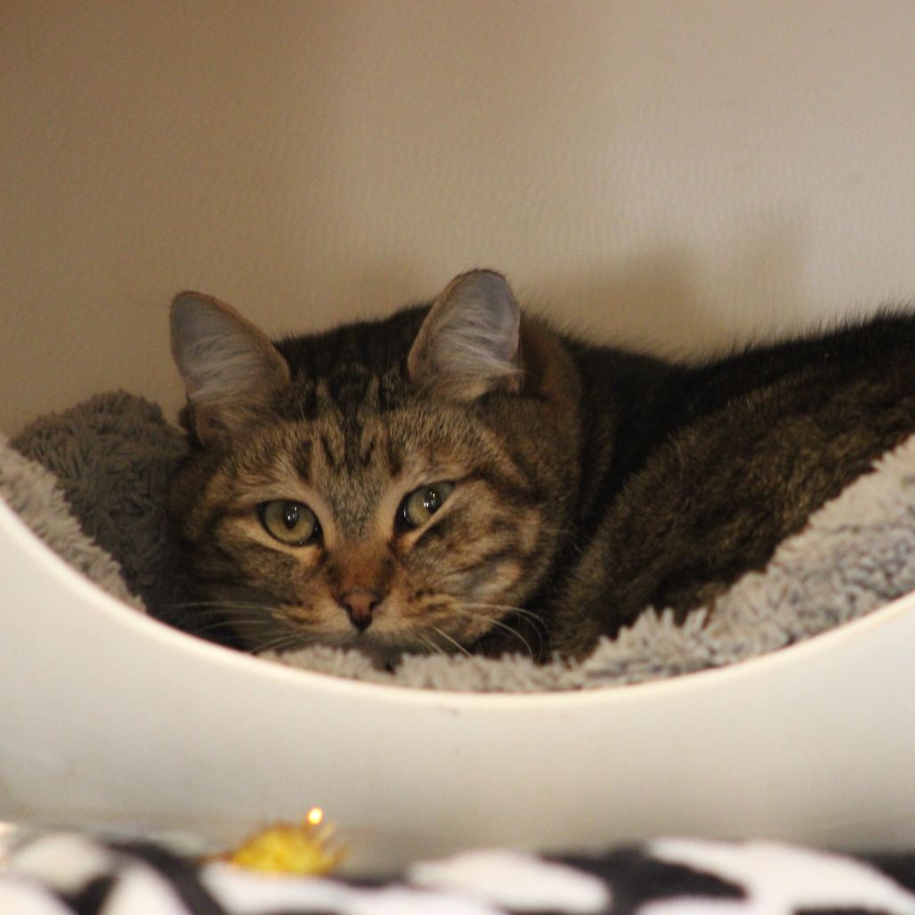 Hello my name is Slidell