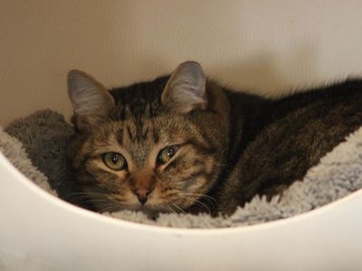 Hello my name is Slidell