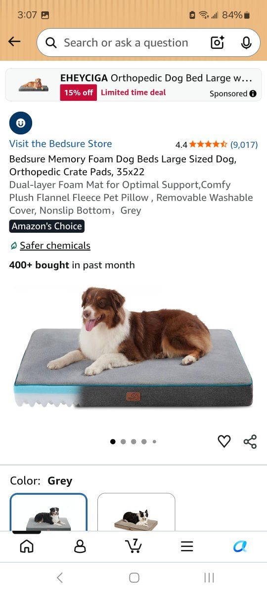 dog bed