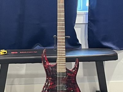 Agile Seven (7) String Baritone guitar