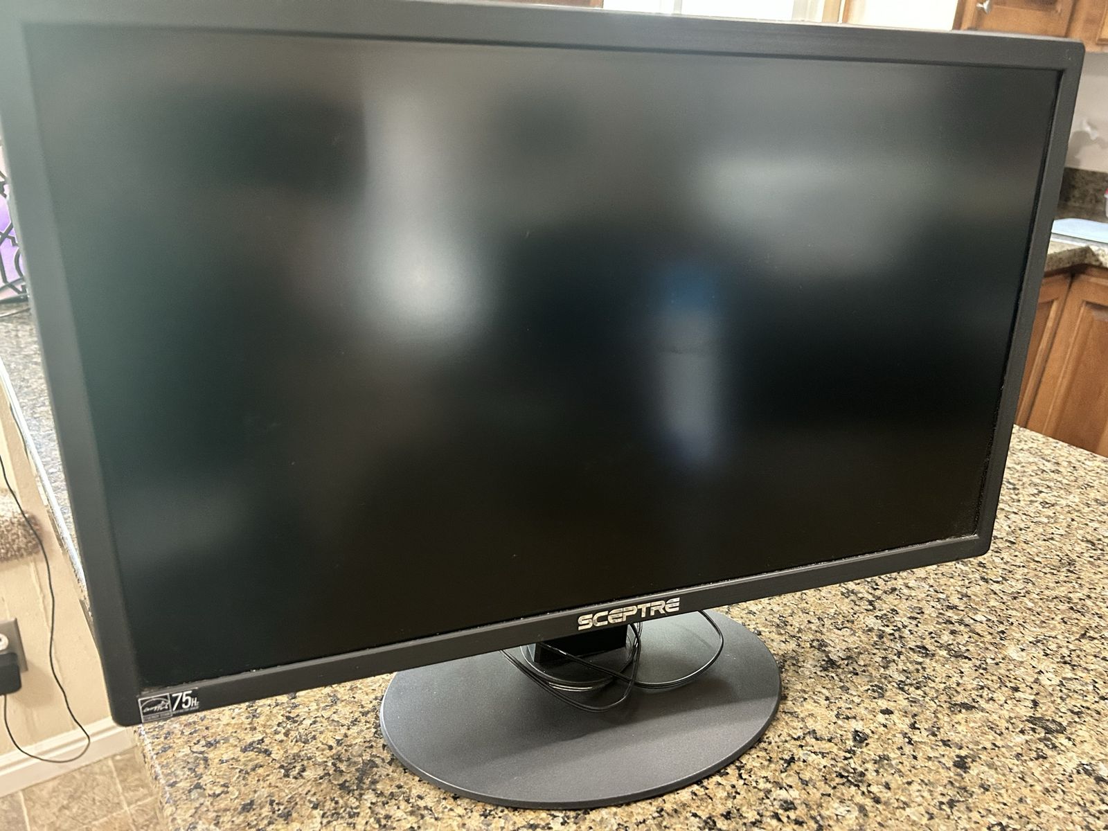 22 inch Sceptre monitor