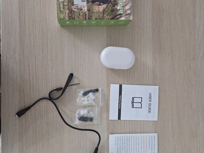 Hearing Aid