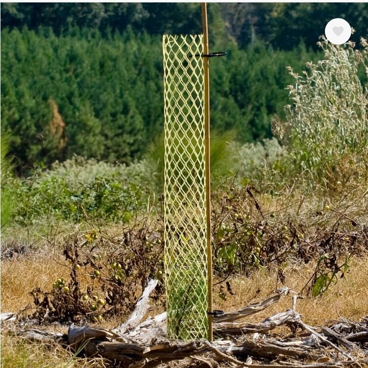 Tree / Seedling Protector Tubes & Bamboo Sticks