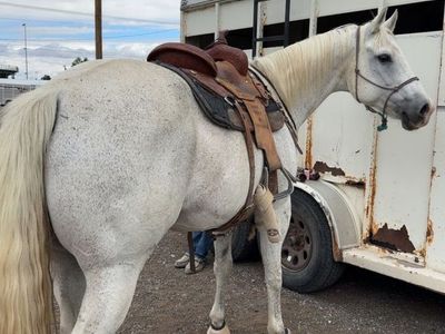 barrel saddle 14in