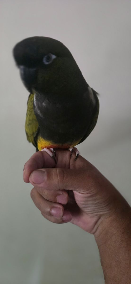 Main image 3