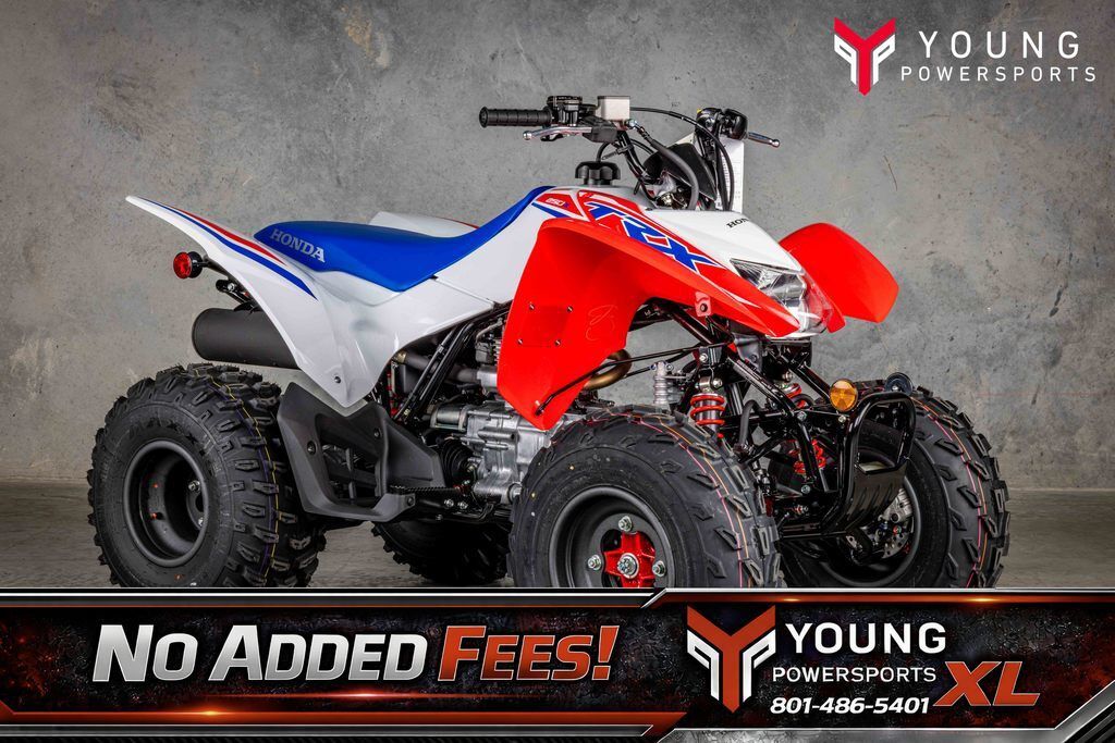 2026 Honda TRX 250X