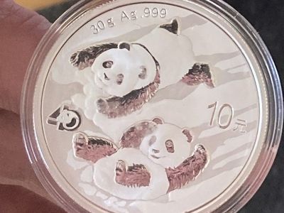 2022 Chinese Panda Proof-Like .999 Fine Silver Round 30 grams