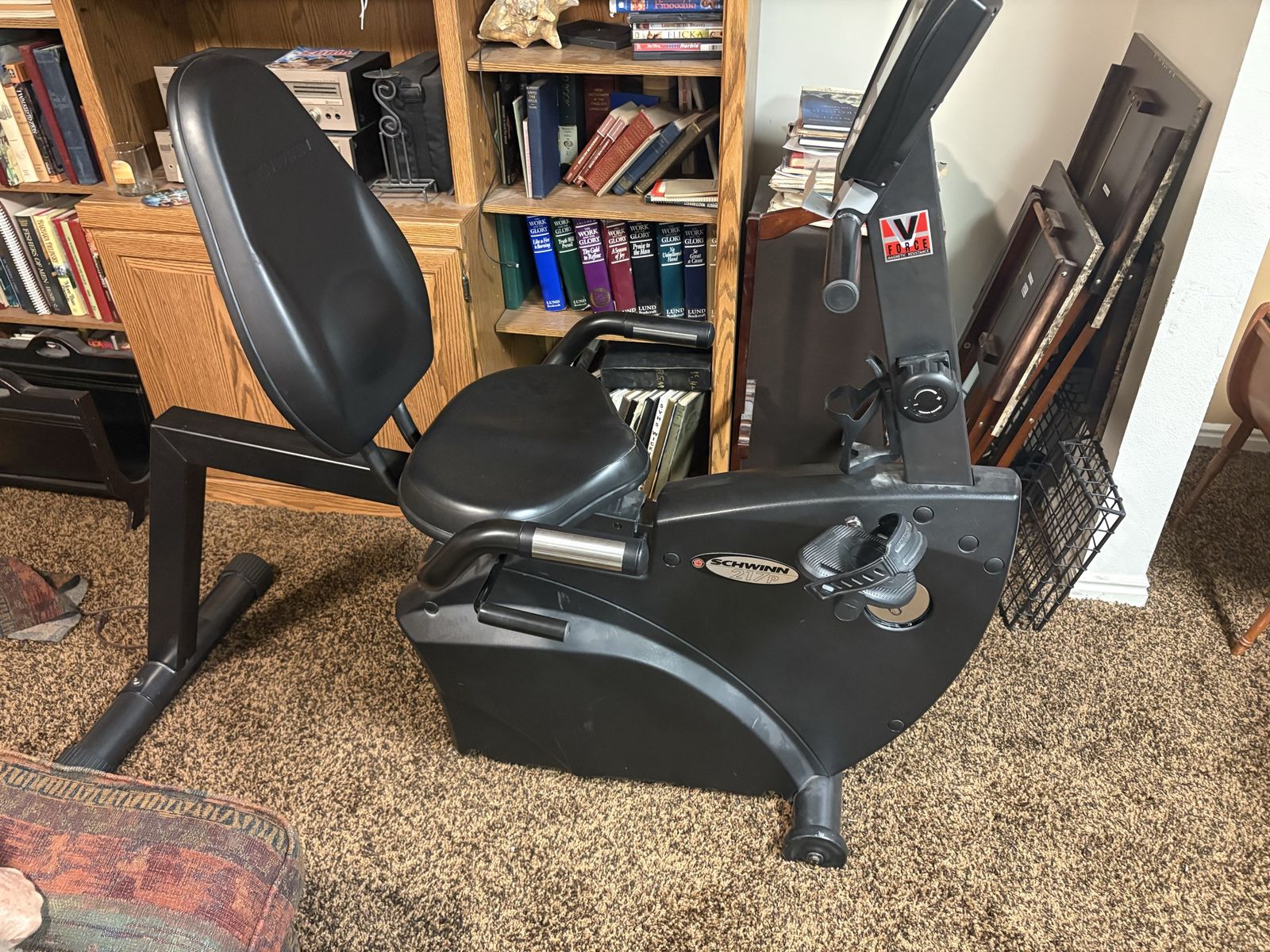 Schwinn 213p Recumbent Exercise Bike - Black Fitness Equipment