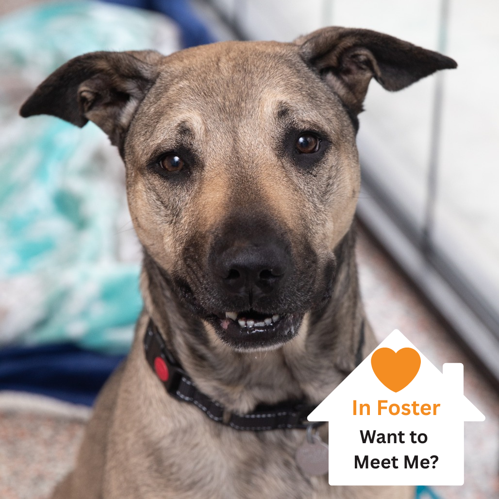 Hello my name is Poblano