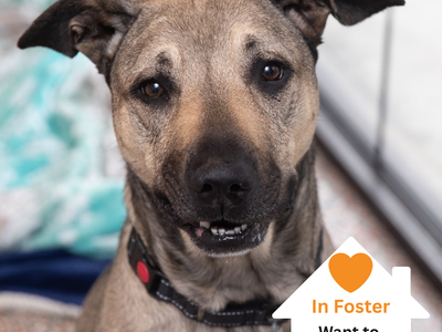 Hello my name is Poblano