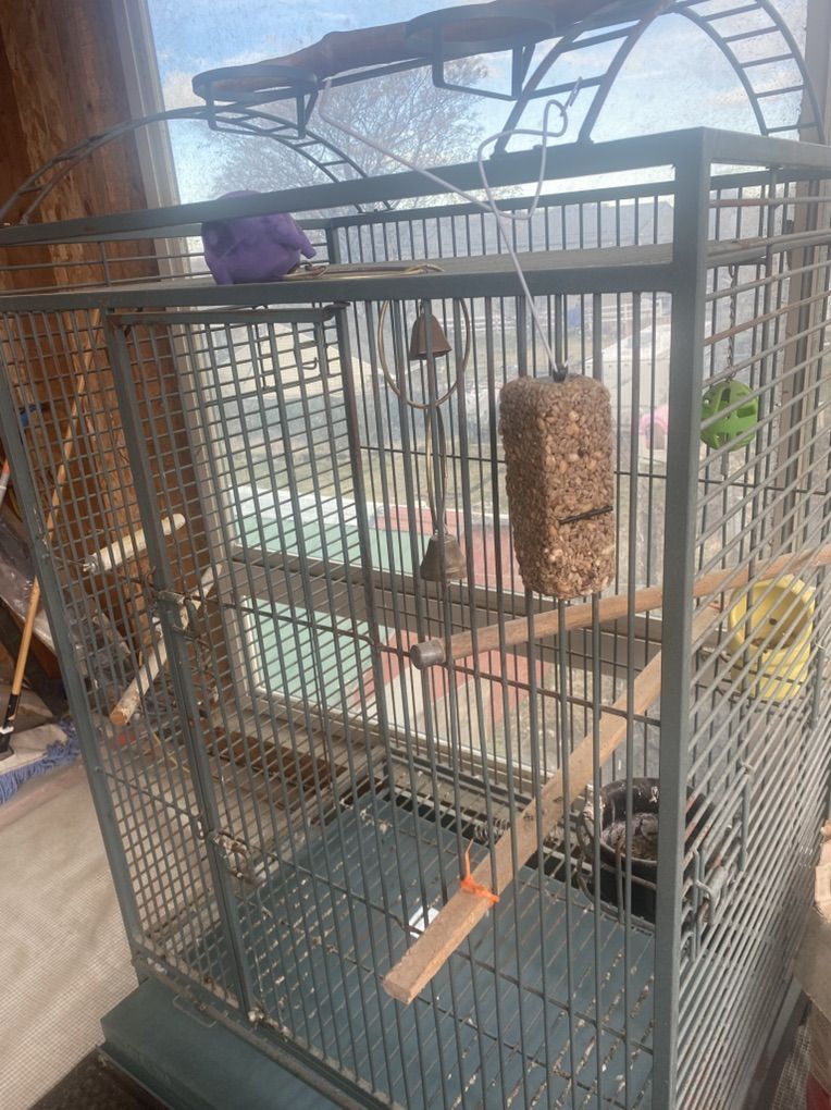 Large Bird Cage