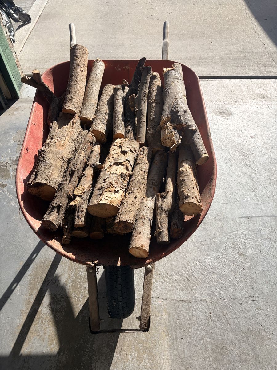 Wheelbarrow full of cut wood