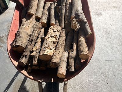 Wheelbarrow full of cut wood