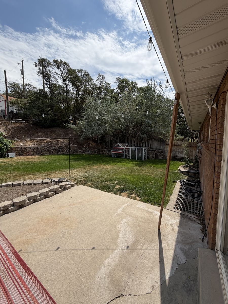 Main image 19
