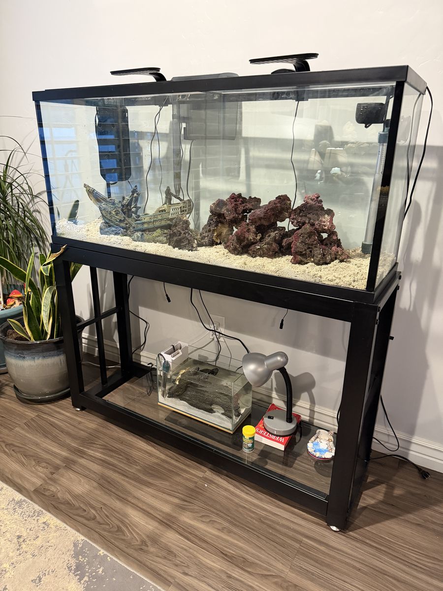 55 gallon reef/fish tank setup