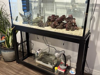 55 gallon reef/fish tank setup