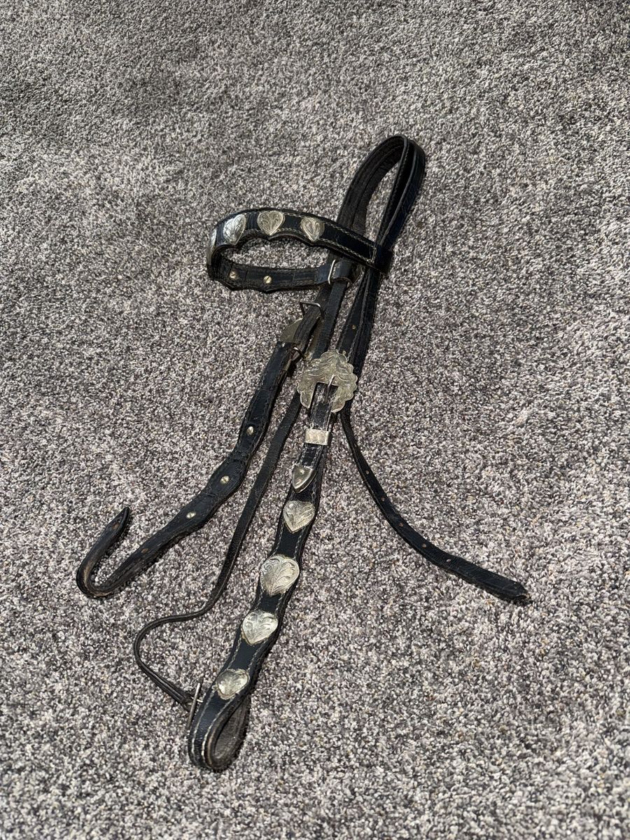 Headstall and split reins