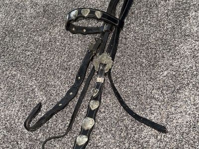 Headstall and split reins