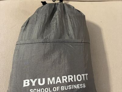 BYU Marriott School Hammock