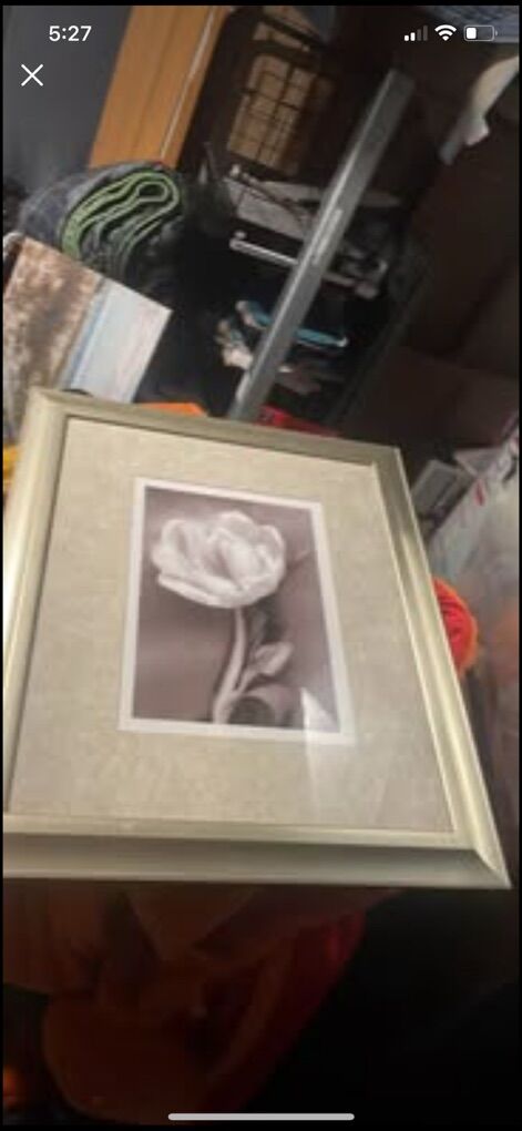 Gold Framed Flower Picture