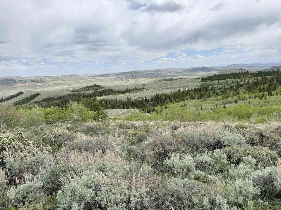 Main image 12