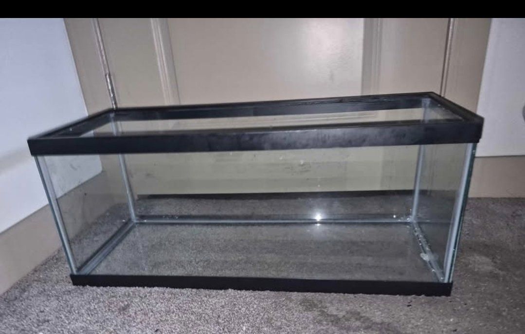 Glass 20 Gallon Aquarium Tank for Fish, Reptiles, or Small Pets