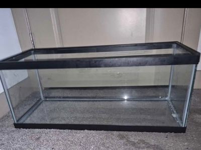 Glass 20 Gallon Aquarium Tank for Fish, Reptiles, or Small Pets