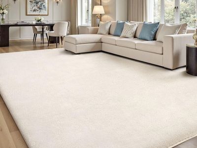 NEW Sour Lemon 10x14 Area Rugs for Living Room, Soft Large Area Rug Fluffy Rugs for Bedroom