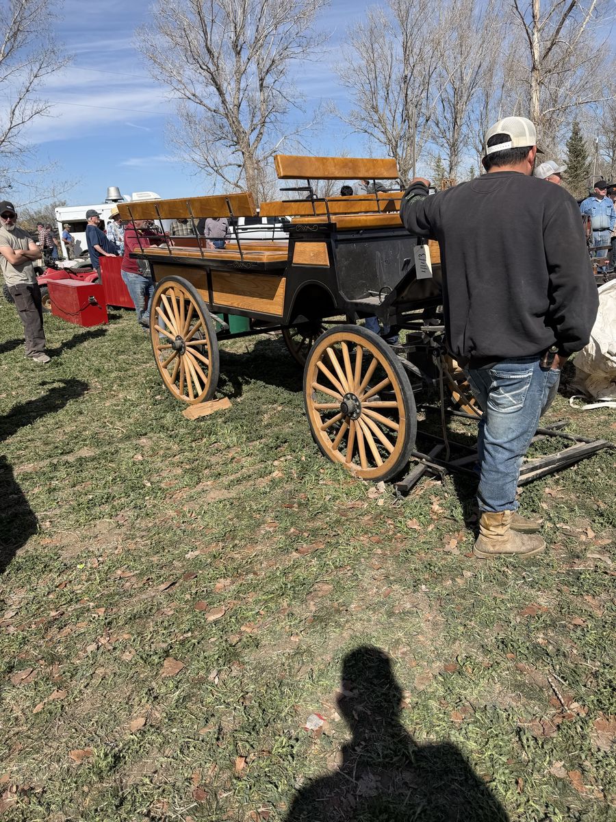 Horse drawn wagon