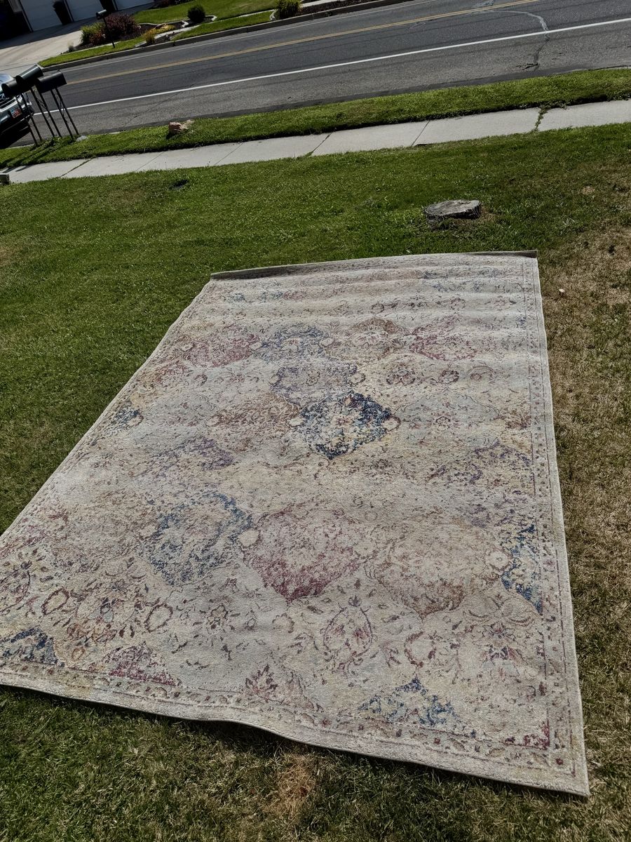 Large Area Rug 