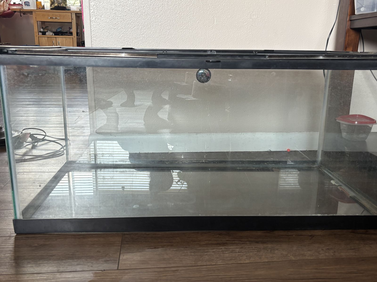 Aquarium/terrarium for sale