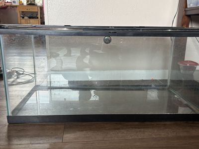 Aquarium/terrarium for sale