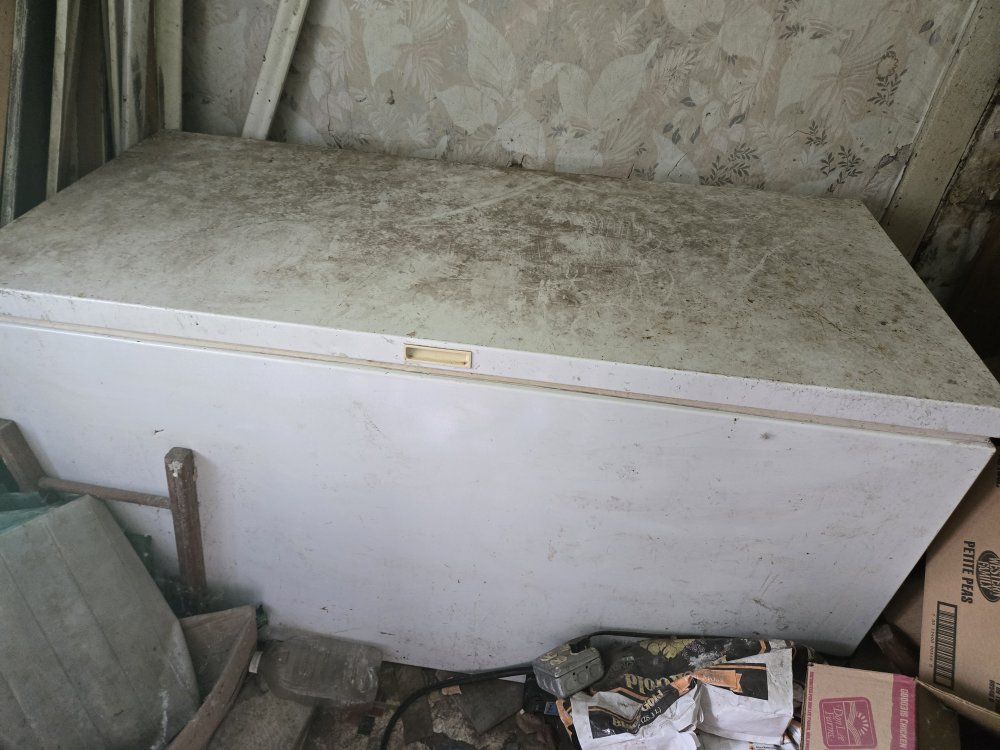 Main image 2
