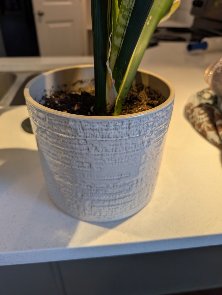 Plan pots