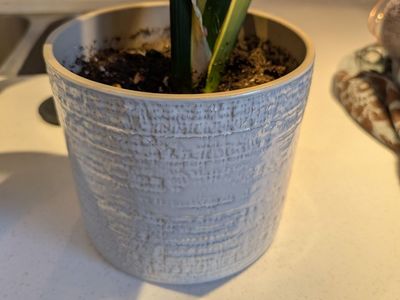 Plan pots