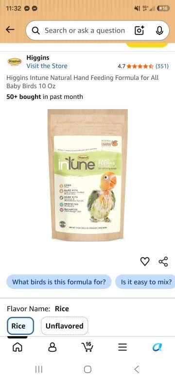 Main image 9
