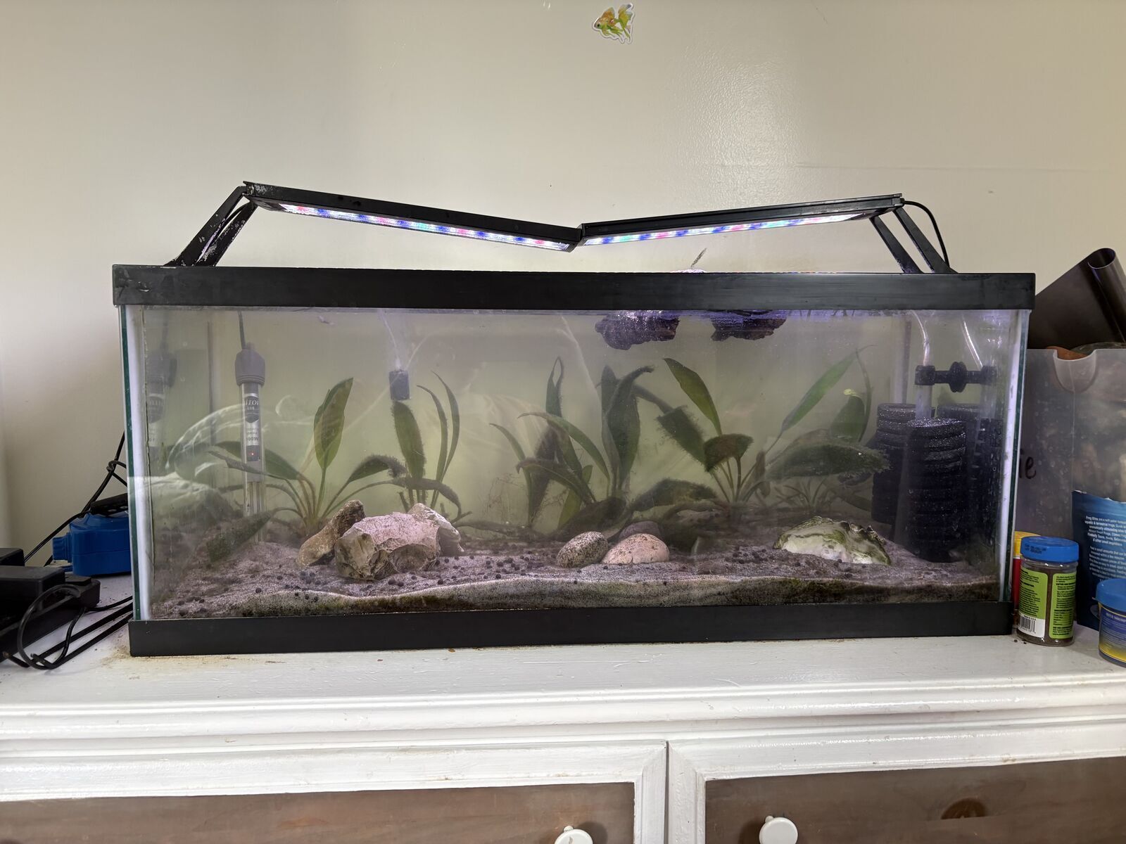 20 Gallon Fish Tank & All Equipment