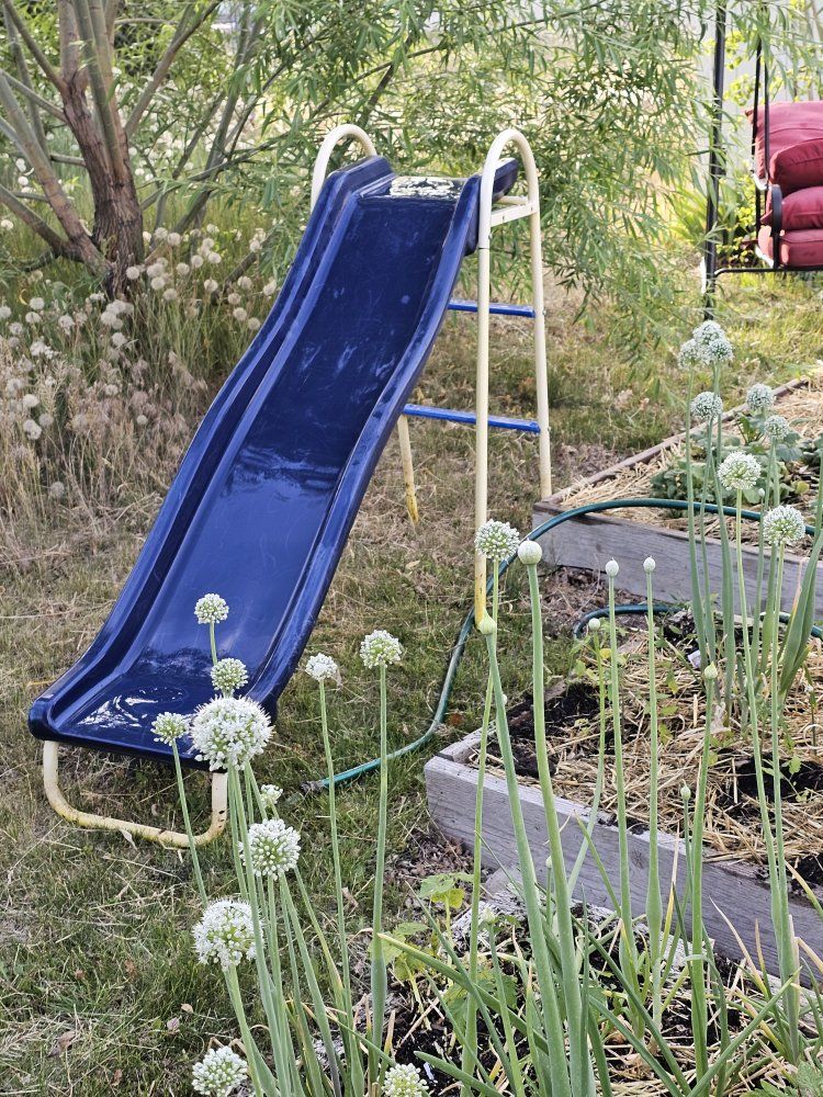 Blue Slide