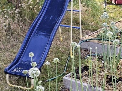 Blue Slide
