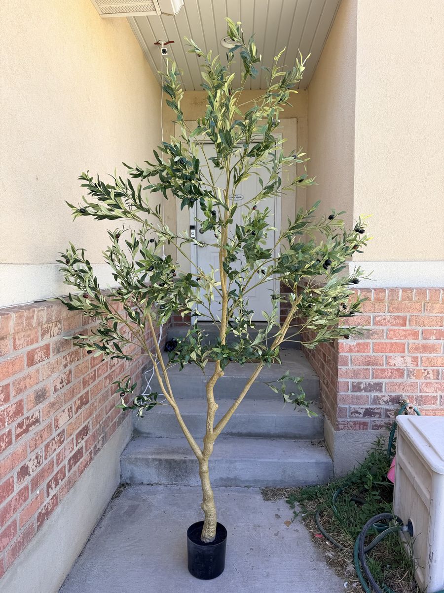 New. 8 Foot Faux Olive Tree Arrange Branches To Your Liking!