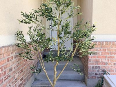 New. 8 Foot Faux Olive Tree Arrange Branches To Your Liking!
