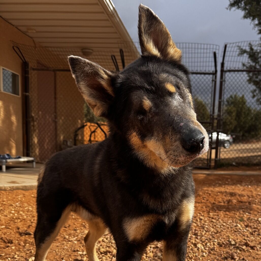 Hello my name is Wormwood