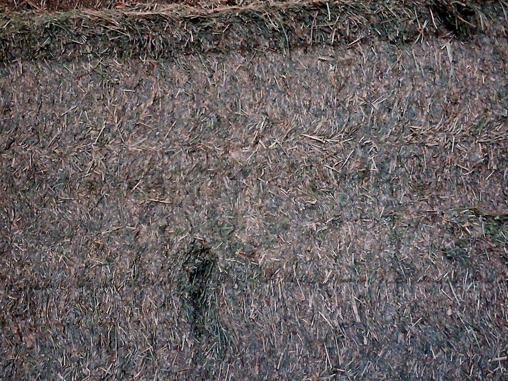 Main image 2