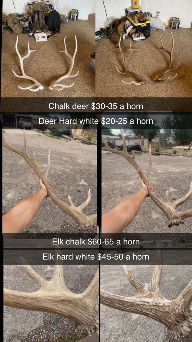 Restoring chalk/broken antlers