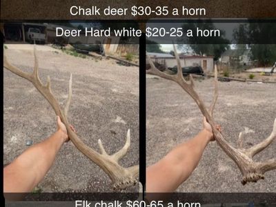 Restoring chalk/broken antlers