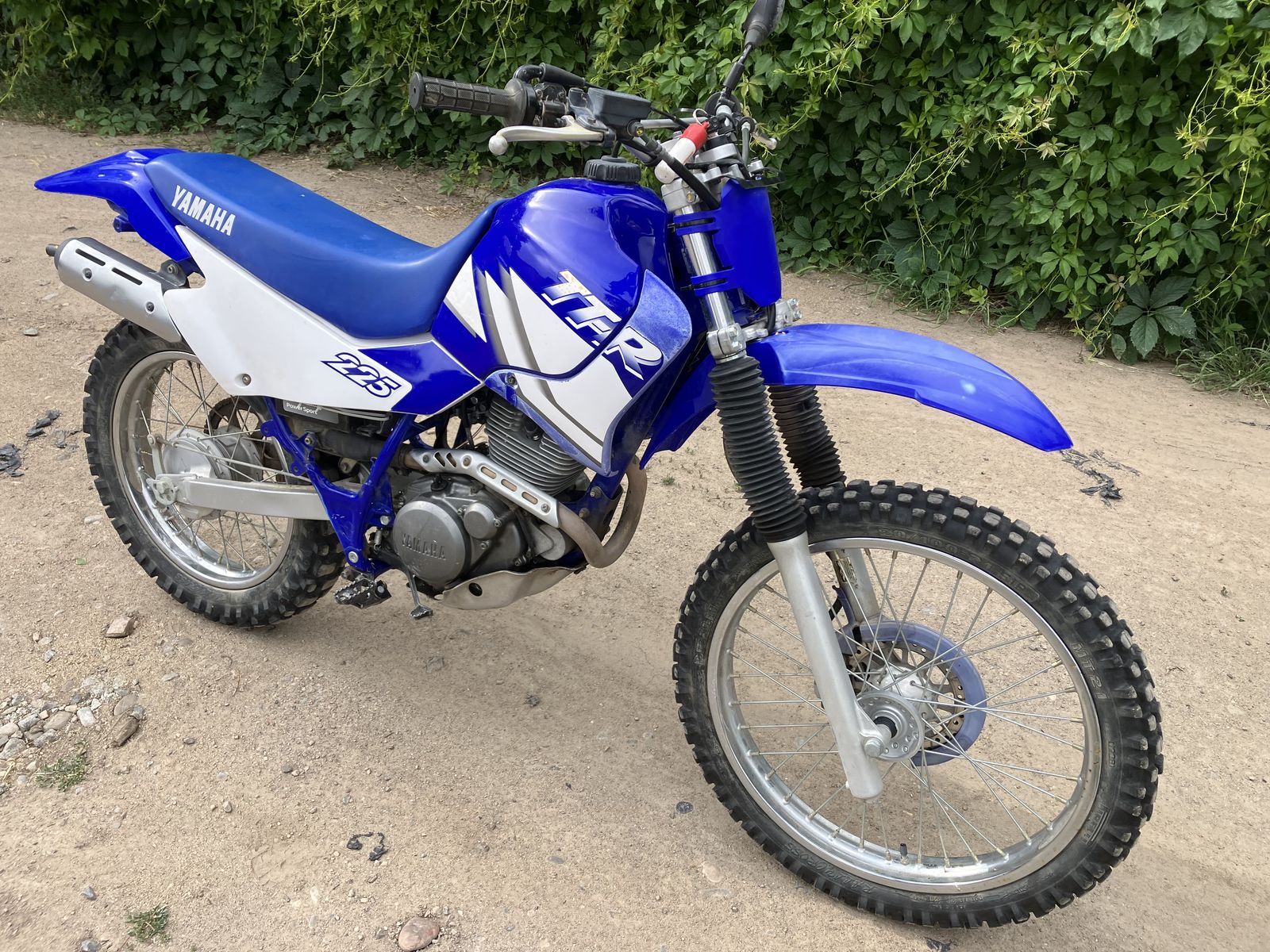 2003 yamaha ttr 225