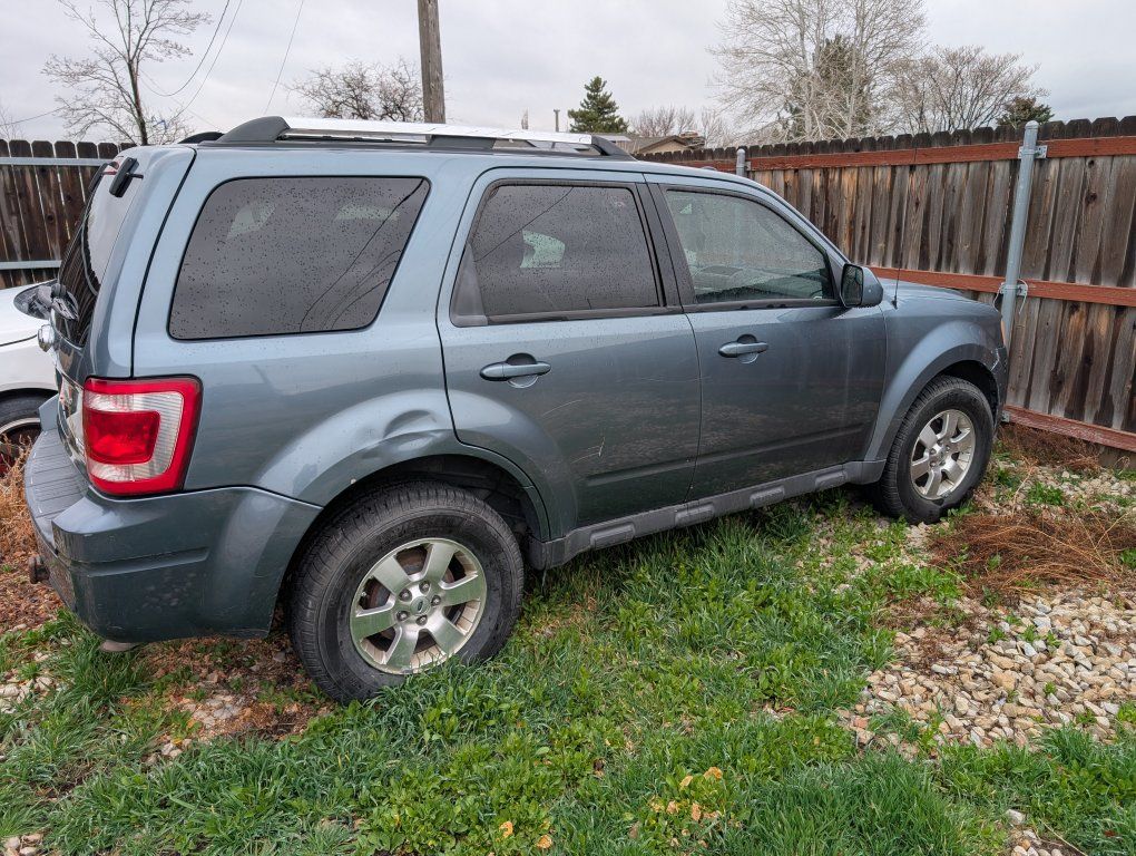 2010 Ford escape