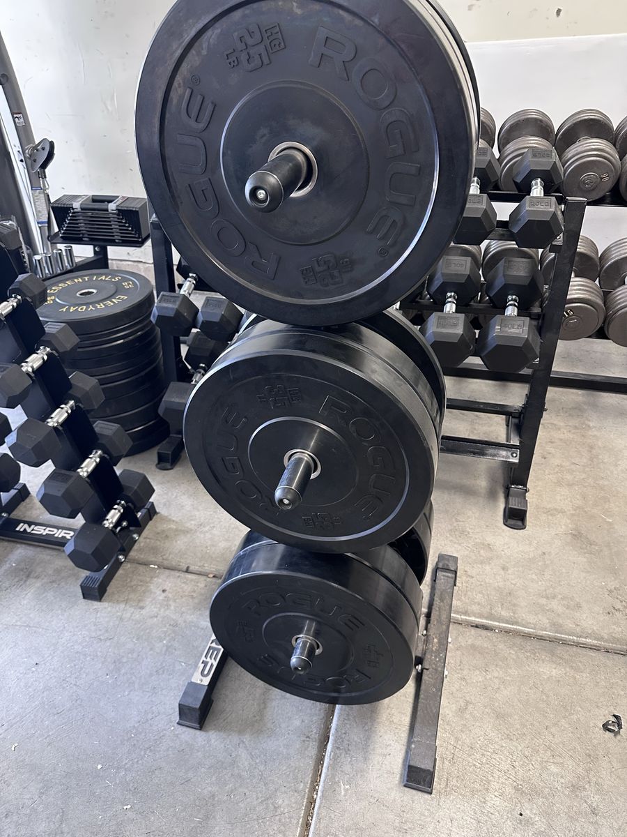 Rogue HG 2.0 Olympic Bumper Plates 320LB