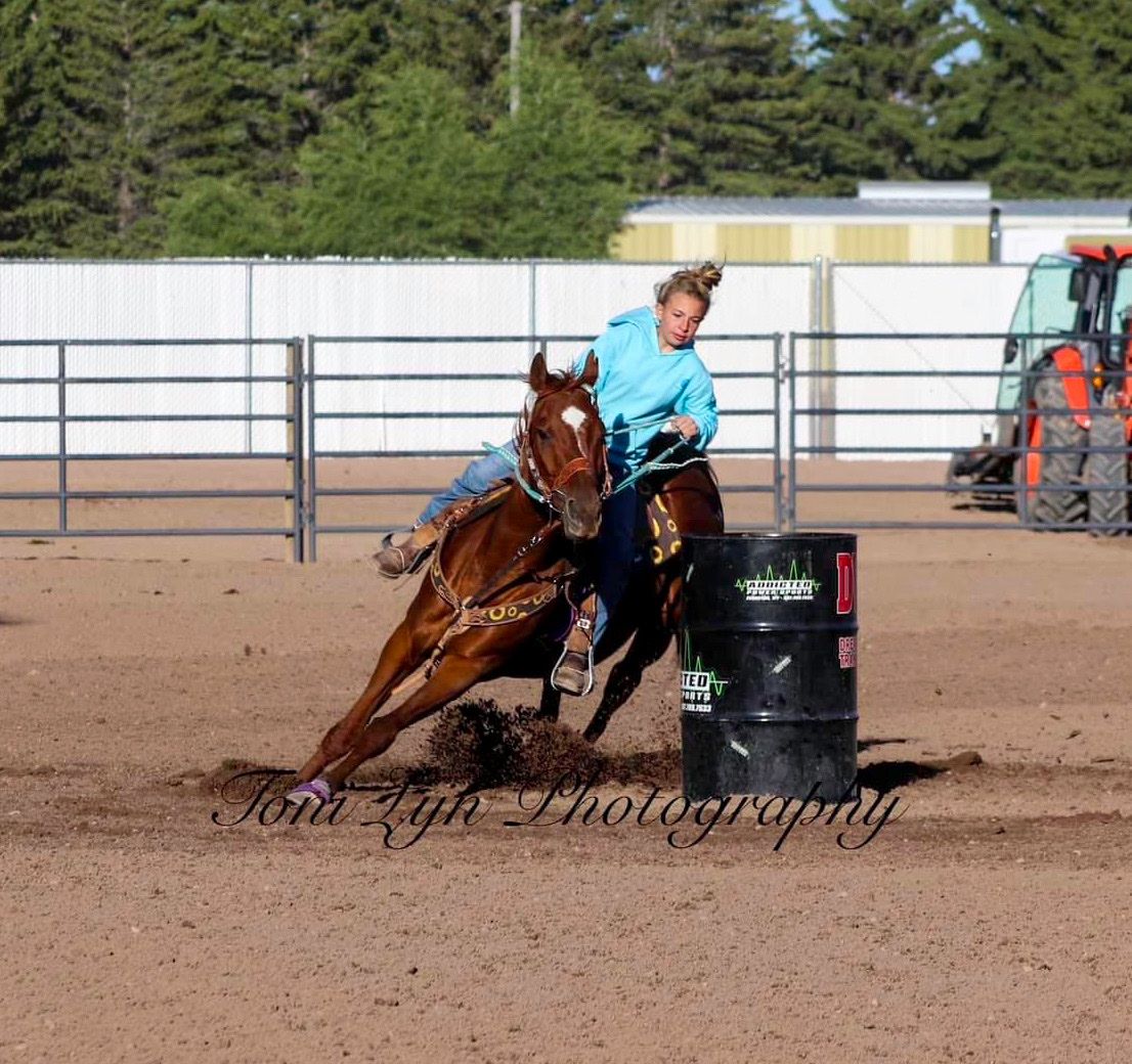 Barrel Horse, Trail Horse